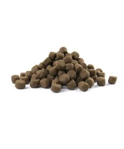 VERSELE-LAGA Opti Life Adult Digestion Medium & Maxi - 12,5 Kg 19 VERSELE-LAGA Opti Life Adult Digestion Medium & Maxi - 12,5 Kg -Hondenbenodigdheden 1002x1200 1