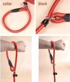 LOUZIR Cesar Millan Sliplijn Met Stop - Hondenriem - Rood - 130 Cm 31 LOUZIR Cesar Millan Sliplijn Met Stop - Hondenriem - Rood - 130 Cm -Hondenbenodigdheden 1023x1200