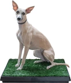 Adori Trainingsmat Gras - Hondentoilet - 50x63 Cm Multi-Color -Hondenbenodigdheden 1034x1200 1