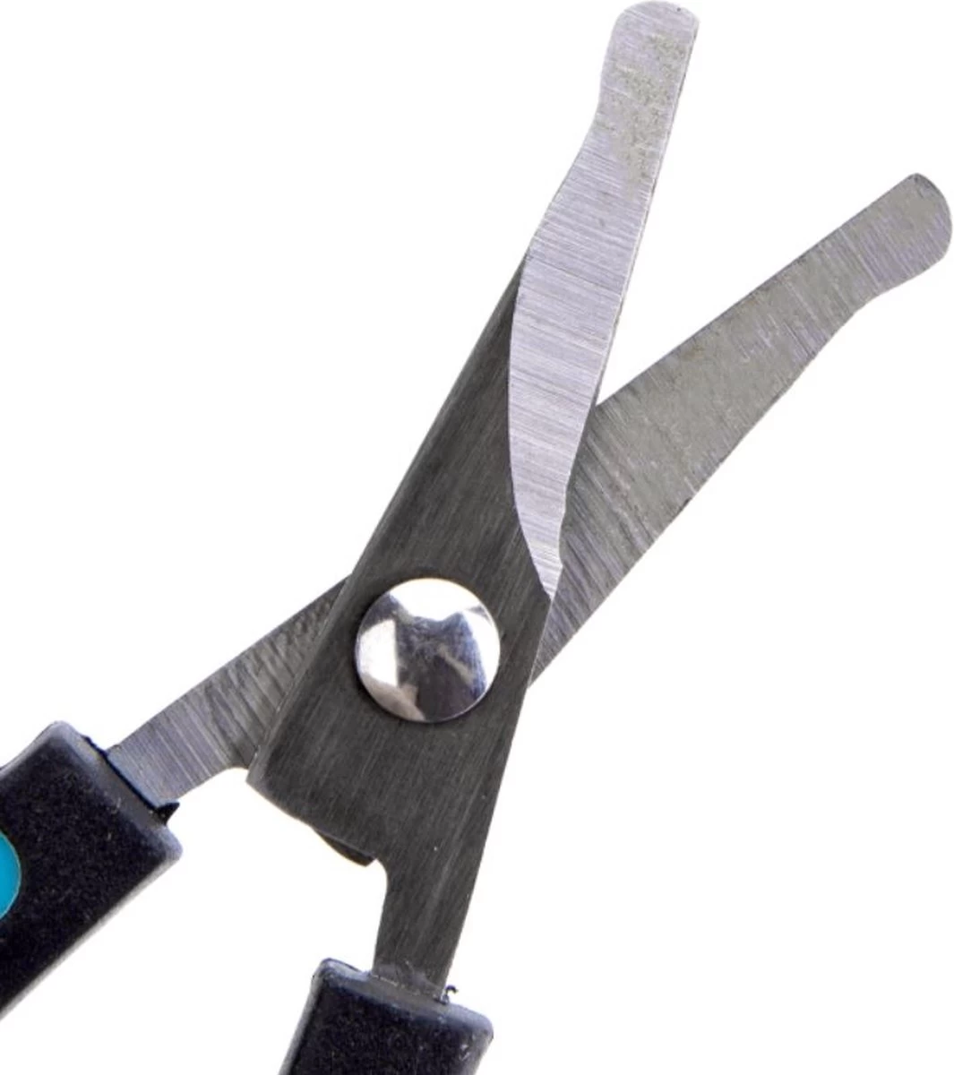 Nobleza Potenschaar - Snuitschaar - Stompe Schaar - Hondenschaar - Afgerond - Honden En Katten - RVS 5 Nobleza Potenschaar - Snuitschaar - Stompe Schaar - Hondenschaar - Afgerond - Honden En Katten - RVS - Afbeelding 3