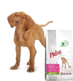 Prins Procare Daily Care Graanvrij - Hondenvoer - 7,5 Kg -Hondenbenodigdheden 1078x1200 1