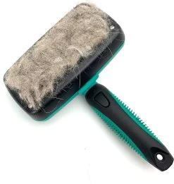 ElegaPet Hondenborstel Groen - Hondenhaar Verwijderen - Kat En Hondenkam - Slickerborstel Hond En Kat - Groomer - Ondervacht Kam Hond - Borstel Hond - Hondenborstel Langharig En Kortharig - Slickerborstel - Anti Klit/Knopen/Huidschilfers 12 ElegaPet Hondenborstel Groen - Hondenhaar Verwijderen - Kat En Hondenkam - Slickerborstel Hond En Kat - Groomer - Ondervacht Kam Hond - Borstel Hond - Hondenborstel Langharig En Kortharig - Slickerborstel - Anti Klit/Knopen/Huidschilfers -Hondenbenodigdheden 1135x1200 1