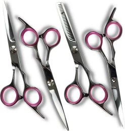 Professionele Hondenscharenset 4 Delig - Trimschaar - Hond Knippen - Dierenverzorging