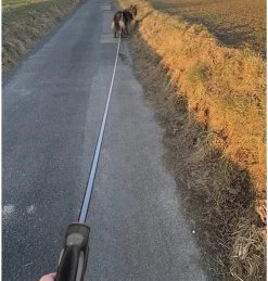 Hondenriem-Looplijn-Zwart/Grijs-8 Meter Oprol-Hond Lijn-Automatisch Rollijn -Hondenbenodigdheden 1144x1200 2