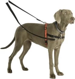 Company Of Animals Halti Trainingslijn - Large - 2 Meter - Verstelbaar - Zwart 26 Company Of Animals Halti Trainingslijn - Large - 2 Meter - Verstelbaar - Zwart -Hondenbenodigdheden 1145x1200 1