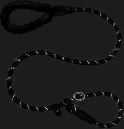 Nixnix - Honden Riem - 1,7cm - Zwart - 1,2cm Dik - Sliplijn - Nylon - Hondenriem - Verstelbaar - Jachtlijn Met Stop - Leiband 13 Nixnix - Honden Riem - 1,7cm - Zwart - 1,2cm Dik - Sliplijn - Nylon - Hondenriem - Verstelbaar - Jachtlijn Met Stop - Leiband -Hondenbenodigdheden 1154x1200 3