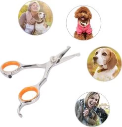 Merkloos Premium Gebogen Trimschaar Honden - Huisdier Trimmen - Hoofd, Poten Ogen & Oren - Kat & Hond Knippen - Veilige Schaar 16 Merkloos Premium Gebogen Trimschaar Honden - Huisdier Trimmen - Hoofd, Poten Ogen & Oren - Kat & Hond Knippen - Veilige Schaar -Hondenbenodigdheden 1159x1200