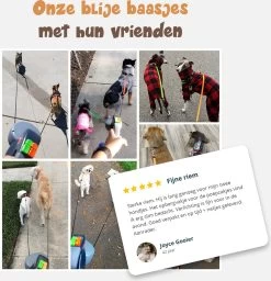 Dubbele Honden Riem – Leiband Hond – Hondenlijn – Looplijn Hond – 2 Honden – 3 Meter – Tot 12kg Per Hond – Reflecterende Lijnen – Met Zaklamp – 360° Draaien – Verstelbaar - Zwart -Hondenbenodigdheden 1160x1200 3