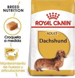 Royal Canin Dachshund/Teckel Adult 7.5 KG -Hondenbenodigdheden 1162x1200 3