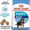 Royal Canin Maxi Junior - Hondenvoer - 10 Kg -Hondenbenodigdheden 1169x1200 6