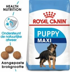 Royal Canin Maxi Junior - Hondenvoer - 10 Kg