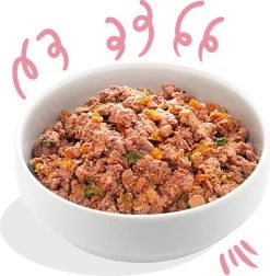 Edgard & Cooper Eend & Kip Blik - Voor Puppy's - Hondenvoer - 12 X 400 G 11 Edgard & Cooper Eend & Kip Blik - Voor Puppy's - Hondenvoer - 12 X 400 G -Hondenbenodigdheden 1174x1200 6