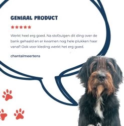 JC Pets Premium Pluizenborstel - Huisdierhaar Verwijderaar – Pluizenverwijderaar – Honden En Kattenhaar Verwijderaar - Ontpluizer - Pluizenroller -Hondenbenodigdheden 1183x1200