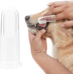 Professionele Hondentondeuse&hondentrimmer Voor Dikke Vacht 8 Professionele Hondentondeuse&hondentrimmer Voor Dikke Vacht -Hondenbenodigdheden 1184x1200