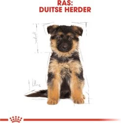 Royal Canin German Shepherd Puppy - Hondenvoer - 12 Kg -Hondenbenodigdheden 1185x1200 6
