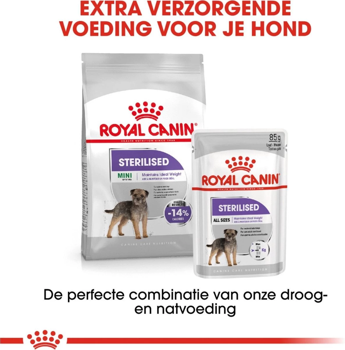Royal Canin Ccn Sterilised Wet - Hondenvoer - 12x85 G 7 Royal Canin Ccn Sterilised Wet - Hondenvoer - 12x85 G - Afbeelding 5