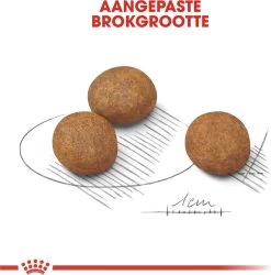 Royal Canin Maxi Puppy - Hondenvoer - 15 Kg 24 Royal Canin Maxi Puppy - Hondenvoer - 15 Kg -Hondenbenodigdheden 1186x1200 7