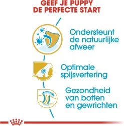 Royal Canin German Shepherd Puppy - Hondenvoer - 12 Kg -Hondenbenodigdheden 1186x1200 8