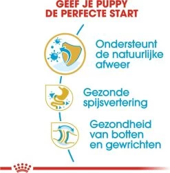 Royal Canin Bulldog - Puppy-Hondenvoer - 12 Kg 12 Royal Canin Bulldog - Puppy-Hondenvoer - 12 Kg -Hondenbenodigdheden 1186x1200 9