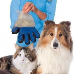 Vacht Verzorgingsborstel Voor Huisdieren - Blauw - LimitedDeals - Voor Honden Katten Konijnen Paarden - Tevens Massage Handschoen Voor Dieren! - Goed Voor De Verzorging Van De Vacht 17 Vacht Verzorgingsborstel Voor Huisdieren - Blauw - LimitedDeals - Voor Honden Katten Konijnen Paarden - Tevens Massage Handschoen Voor Dieren! - Goed Voor De Verzorging Van De Vacht -Hondenbenodigdheden 1189x1200