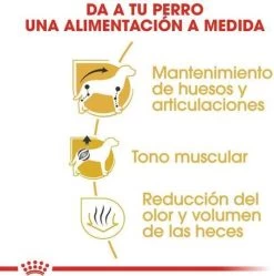 Royal Canin Dachshund/Teckel Adult 7.5 KG -Hondenbenodigdheden 1190x1200 4