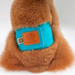 Merkloos Hondenluier Voor Kleine Hond - Luier Voor Reu - Buikband Maat S 27 Cm X 25 Cm 9 Merkloos Hondenluier Voor Kleine Hond - Luier Voor Reu - Buikband Maat S 27 Cm X 25 Cm -Hondenbenodigdheden 1194x1200 8