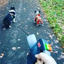 Merkloos Dubbele Hondenriem Voor Twee Honden - Grijs - Tot 22 Kg (per Hond) - 300 Cm -Hondenbenodigdheden 1198x1200 11