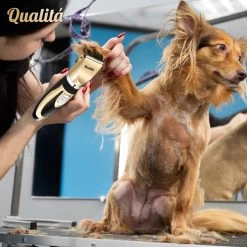 Merkloos Professionele Honden Tondeuse Set - Tondeuse Voor Huisdier Honden En Katten - Hondentrimmer - Hondentondeuse -Hondenbenodigdheden 1198x1200 6