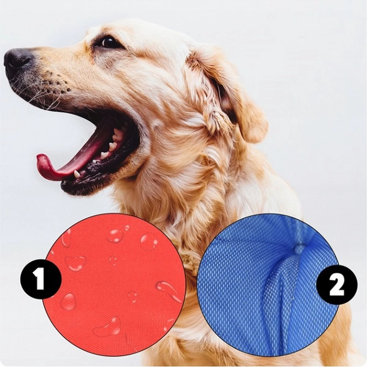 Ecco - Honden- En Kattenbed Met Kussen | Binnenmaat: 130x100 / Buitenmaat: 145x115cm - Beige / Zwart 7 Ecco - Honden- En Kattenbed Met Kussen | Binnenmaat: 130x100 / Buitenmaat: 145x115cm - Beige / Zwart - Afbeelding 5