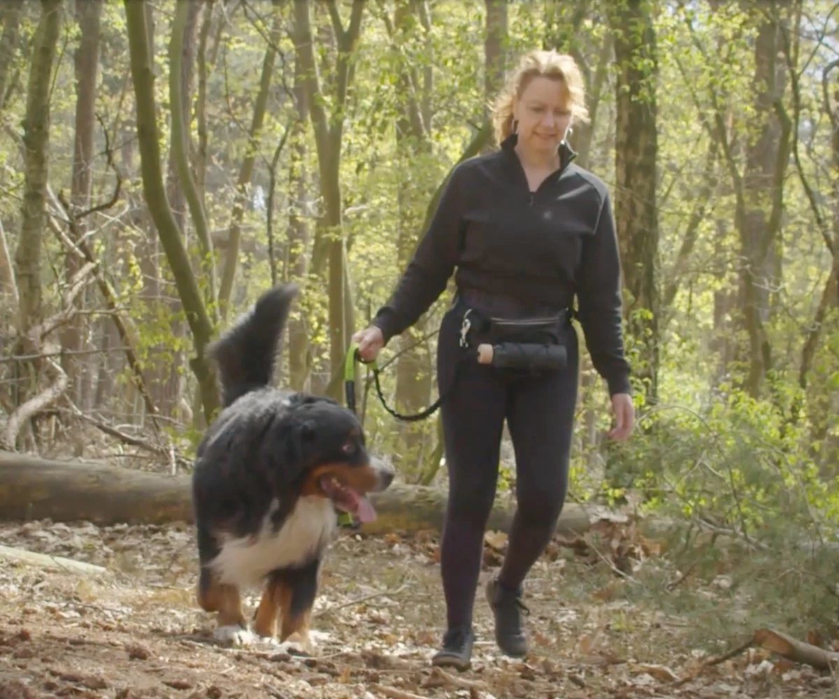 Canicross Looplijn Hond Met Heupriem Voor Hardlopen - Elastische Handsfree Hondenriem - Honden Trainingslijn - 150/210cm - Zwart 4 Canicross Looplijn Hond Met Heupriem Voor Hardlopen - Elastische Handsfree Hondenriem - Honden Trainingslijn - 150/210cm - Zwart - Afbeelding 2