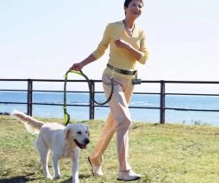 Canicross Looplijn Hond Met Heupriem Voor Hardlopen - Elastische Handsfree Hondenriem - Honden Trainingslijn - 150/210cm - Zwart 15 Canicross Looplijn Hond Met Heupriem Voor Hardlopen - Elastische Handsfree Hondenriem - Honden Trainingslijn - 150/210cm - Zwart -Hondenbenodigdheden 1200x1000 5