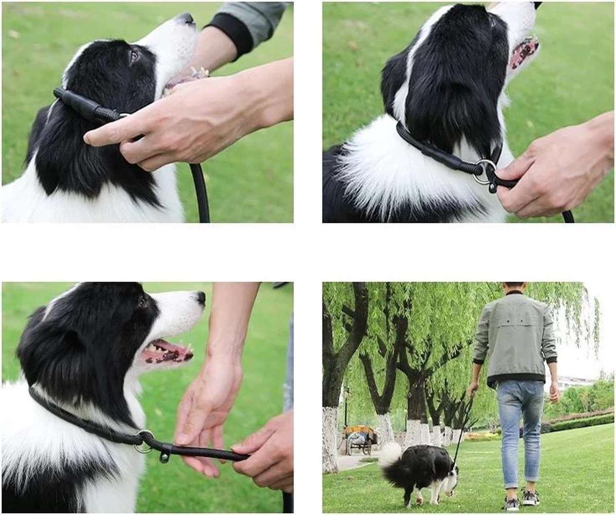 LOUZIR Cesar Millan Sliplijn Met Stop - Hondenriem - Rood - 130 Cm 8 LOUZIR Cesar Millan Sliplijn Met Stop - Hondenriem - Rood - 130 Cm - Afbeelding 6