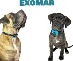 Exomar® Anti Blafband Voor Honden Blafband Anti Blaf Apparaat Blafband Zonder Schok - Diervriendelijk -Hondenbenodigdheden 1200x1003 2