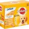Pedigree - In Gelei - Junior - 12x100 G - Multipack Maaltijdzakjes -Hondenbenodigdheden 1200x1007