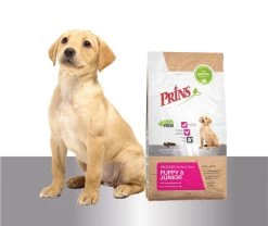 Prins Procare Puppy/Junior - 7.5 KG -Hondenbenodigdheden 1200x1009 2