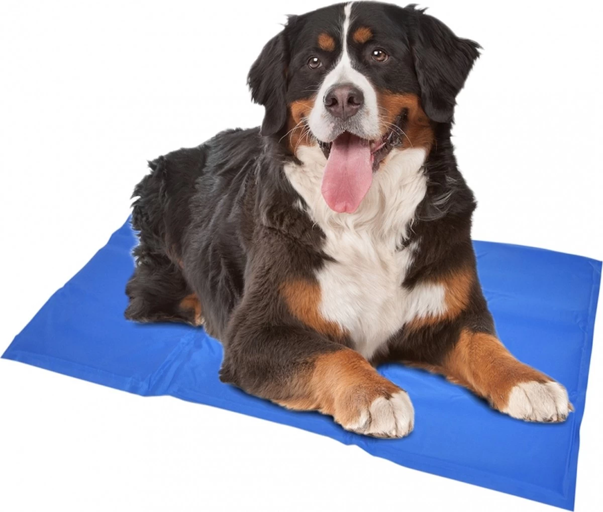 Duvo+ Koelmat - Blauw - XXL 3 Duvo+ Koelmat - Blauw - XXL