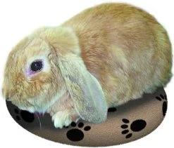 Snugglesafe Warmteschijf Hond/Kat - 24 Cm -Hondenbenodigdheden 1200x1026 6