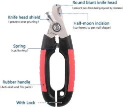 Nagelschaar Voor Dieren- Nagelknipper- Kat- Hond- Vogel Nagelschaartje - Huisdieren - Nail Clipper- Nail Cutter -Hondenbenodigdheden 1200x1044 2