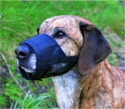 Trixie Muilkorf Polyester Met Gaas Inzet Zwart (M 19-26 CM) 8 Trixie Muilkorf Polyester Met Gaas Inzet Zwart (M 19-26 CM) -Hondenbenodigdheden 1200x1047 1