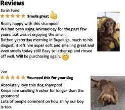 Bugalugs - Hondenshampoo - One In A Million - Alle Vachttypes - Fles Met Pompje - Vegan - 500 Ml 22 Bugalugs - Hondenshampoo - One In A Million - Alle Vachttypes - Fles Met Pompje - Vegan - 500 Ml -Hondenbenodigdheden 1200x1061