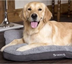 Scruffs Cosy - Comfortabel Hondenkussen In Grijs, Beige Of Karamel - Met Imitatie Suède Buitenvoering En Superzachte Binnenvoering - 100 X 70 Cm - Grijs 30 Scruffs Cosy - Comfortabel Hondenkussen In Grijs, Beige Of Karamel - Met Imitatie Suède Buitenvoering En Superzachte Binnenvoering - 100 X 70 Cm - Grijs -Hondenbenodigdheden 1200x1080 3