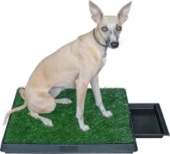 Adori Trainingsmat Gras - Hondentoilet - 50x63 Cm Multi-Color -Hondenbenodigdheden 1200x1082 2