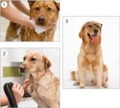 Waterblazer Hond - Hondendroger -Hondenbenodigdheden 1200x1083