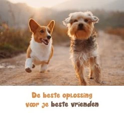 Dubbele Honden Riem – Leiband Hond – Hondenlijn – Looplijn Hond – 2 Honden – 3 Meter – Tot 12kg Per Hond – Reflecterende Lijnen – Met Zaklamp – 360° Draaien – Verstelbaar - Navy Blauw -Hondenbenodigdheden 1200x1087 4