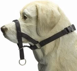 Beeztees Dog Control - Halsband Hond - Zwart - M 5 Beeztees Dog Control - Halsband Hond - Zwart - M -Hondenbenodigdheden 1200x1110 1