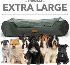 Primeplus Grote Hondenmand XL - Grijs - 100x80x20 CM - Orthopedische Hondenmanden - Hondenkussen -Hondenbenodigdheden 1200x1114 15