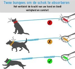 Oak's First Elastische En Diervriendelijke Looplijn Met Heupriem - Hondenriem - 150cm/210cm - Grijs 12 Oak's First Elastische En Diervriendelijke Looplijn Met Heupriem - Hondenriem - 150cm/210cm - Grijs -Hondenbenodigdheden 1200x1114 2