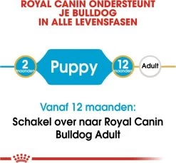 Royal Canin Bulldog - Puppy-Hondenvoer - 12 Kg 17 Royal Canin Bulldog - Puppy-Hondenvoer - 12 Kg -Hondenbenodigdheden 1200x1114 8