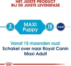 Royal Canin Maxi Puppy - Hondenvoer - 15 Kg 32 Royal Canin Maxi Puppy - Hondenvoer - 15 Kg -Hondenbenodigdheden 1200x1116 5
