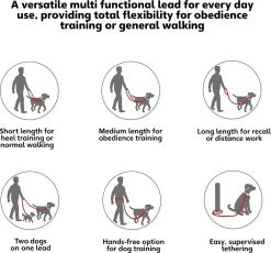 Company Of Animals Halti Trainingslijn - Large - 2 Meter - Verstelbaar - Zwart 21 Company Of Animals Halti Trainingslijn - Large - 2 Meter - Verstelbaar - Zwart -Hondenbenodigdheden 1200x1119 1